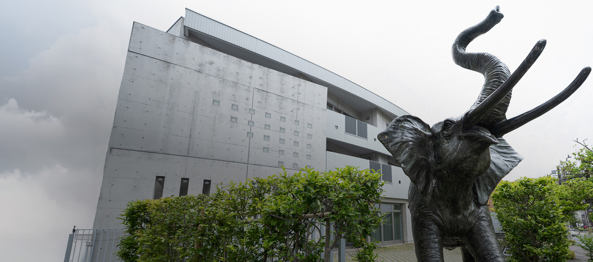 遠藤大助法律事務所